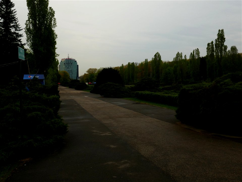 Herestrau Park in spring (119)