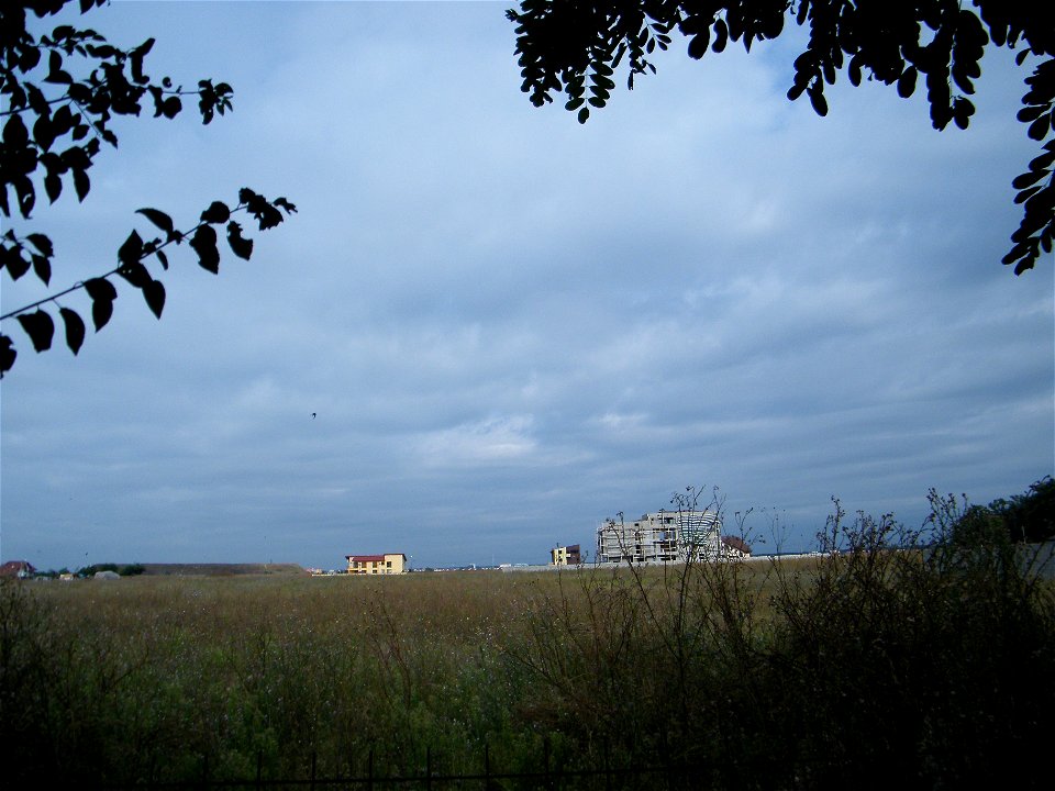 orizont2010_0830_085848