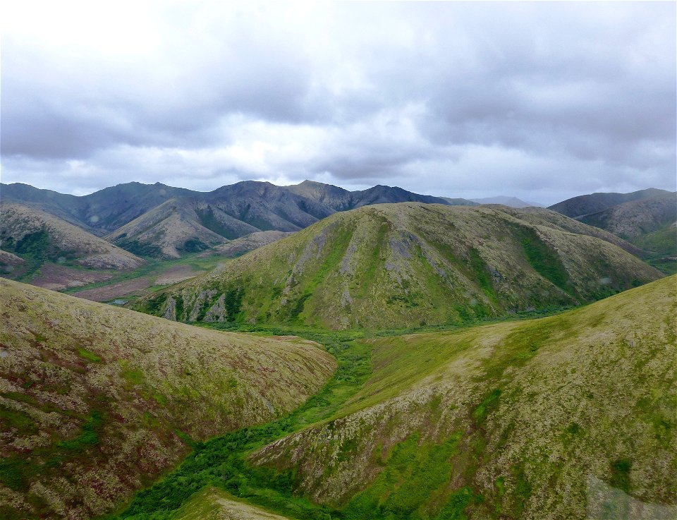 Kilbuck Mountains