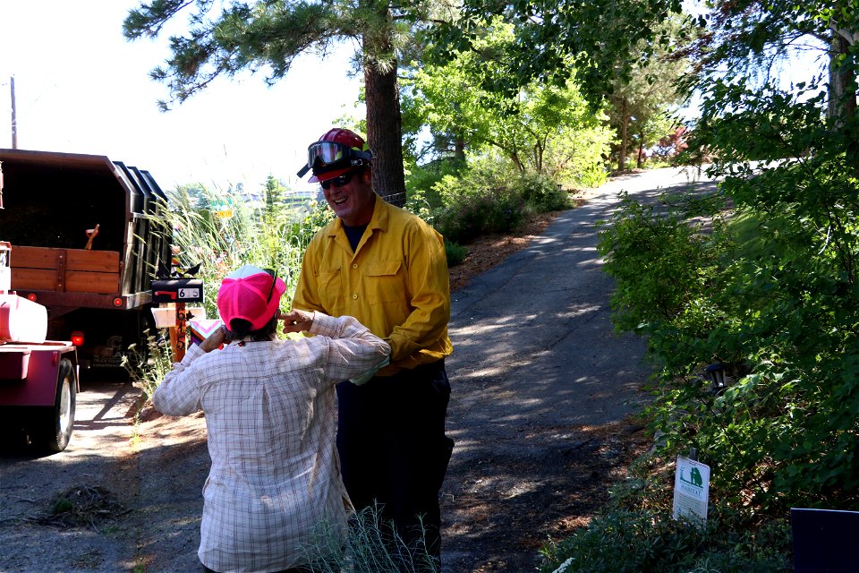 Wood Chipping in Boise photo