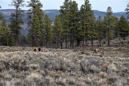Ray Mesa Prescribed Burn Fall 2021