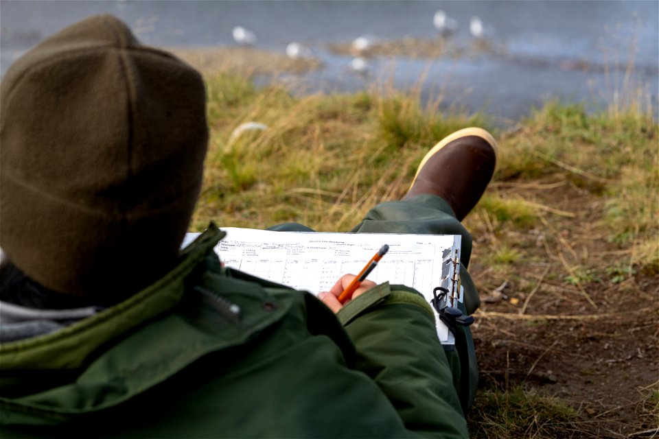 Ranger - NPS/Lian Law