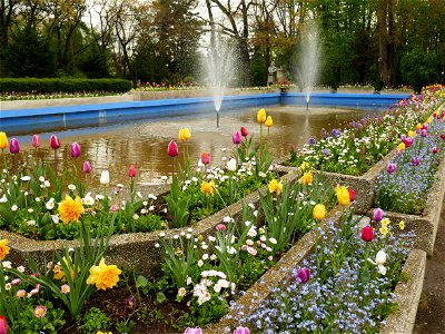 Herestrau Park in spring (114)