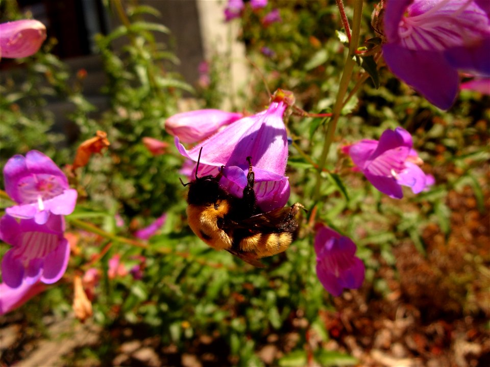 20160622-FS-CM-004