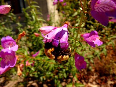 20160622-FS-CM-004