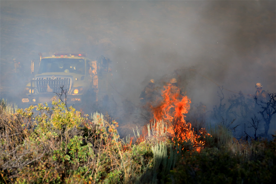 Ross Fork Fire photo