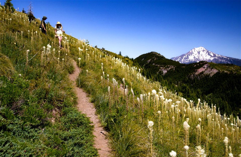 Willamette National Forest, Coffin Mountain Trail