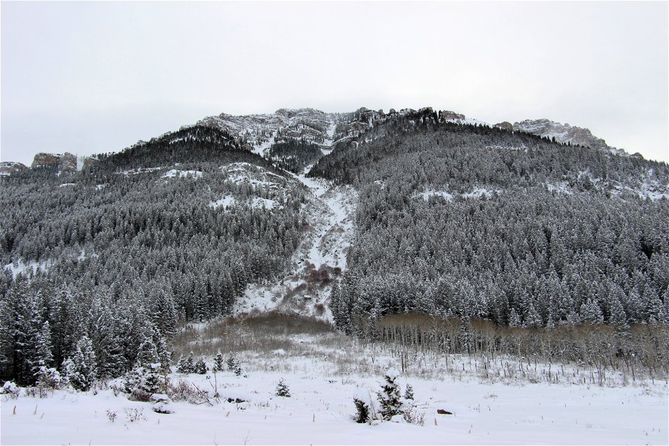 Sheep Mountain Snow photo