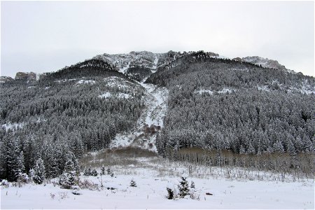Sheep Mountain Snow photo