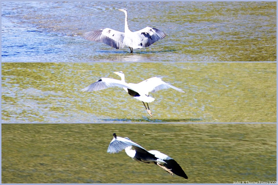 Coming into land.