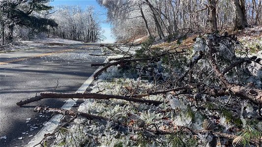 Ice Storm 2022_Tilt up of icy landscape near Skyland