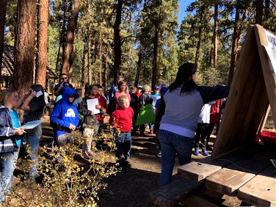 A group of kids learn about forest science at an Every Kid Outdoors Field Day