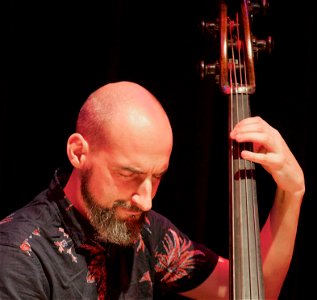 Lama Quartet 14 december 2016 Tivoli Vredenburg Utrecht - Goncalo Ameida