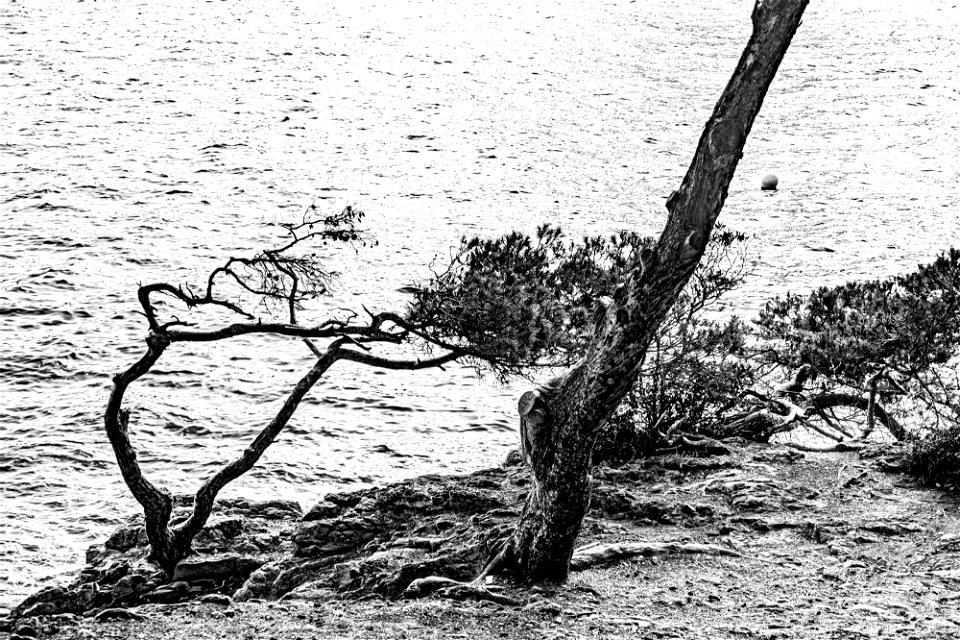 st jean cap ferrat (4)