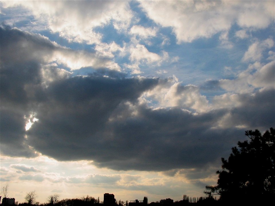 Cismigiu_20040328_35