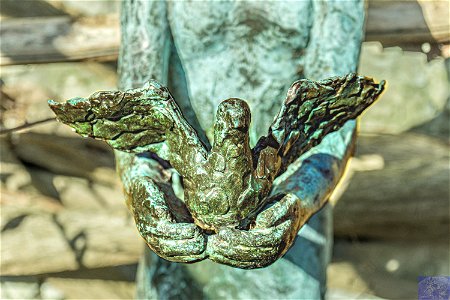 Dove of Peace Bronze Sculpture Maidstone