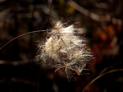 20211019-FS-Superior-SAR-012