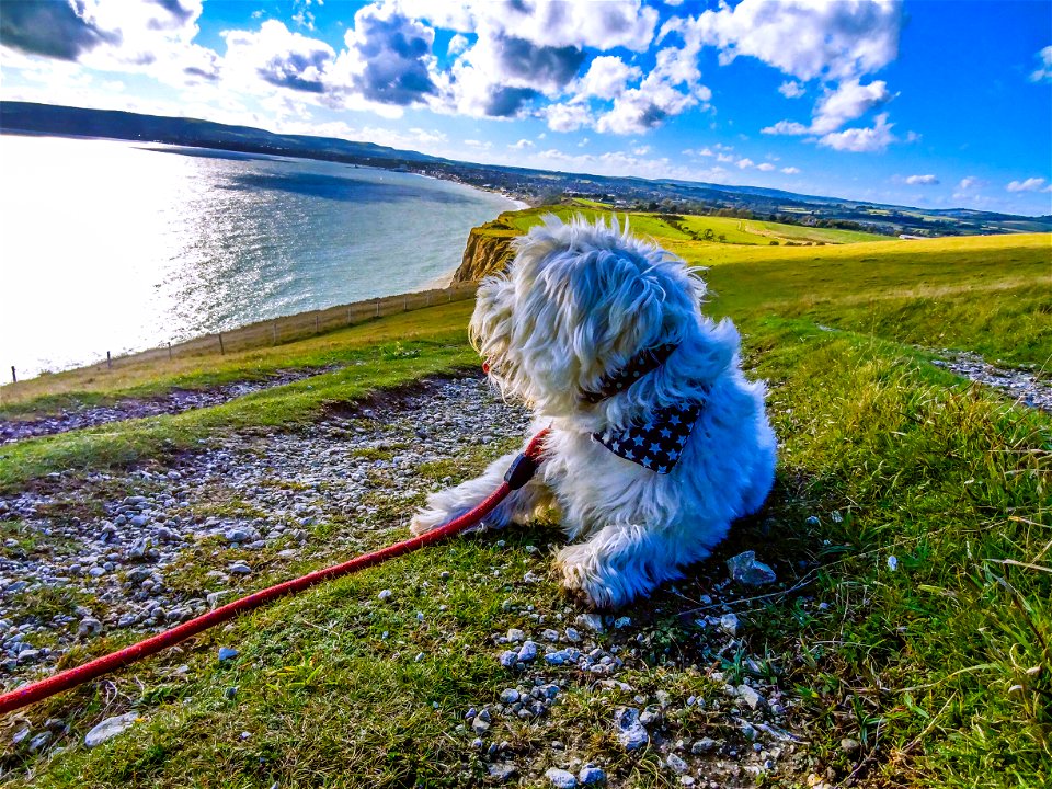 The Dog looking over Sandown Bay Isle of Wight