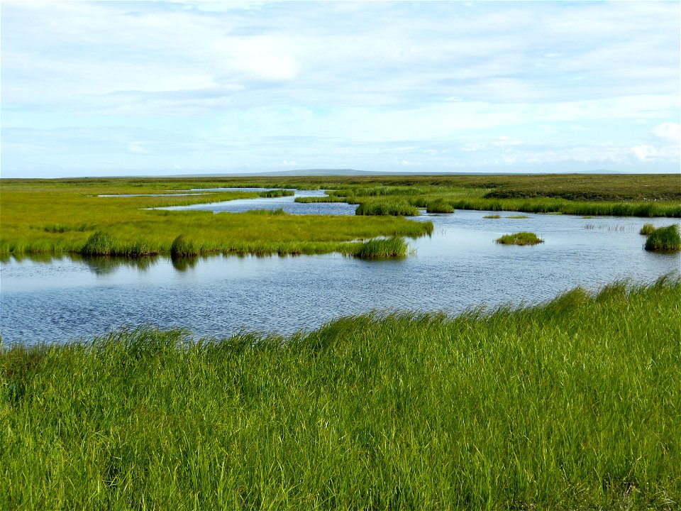 Old Chevak wetlands