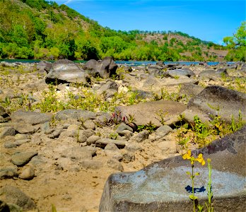 Sacramento River Bend Outstanding Natural Area