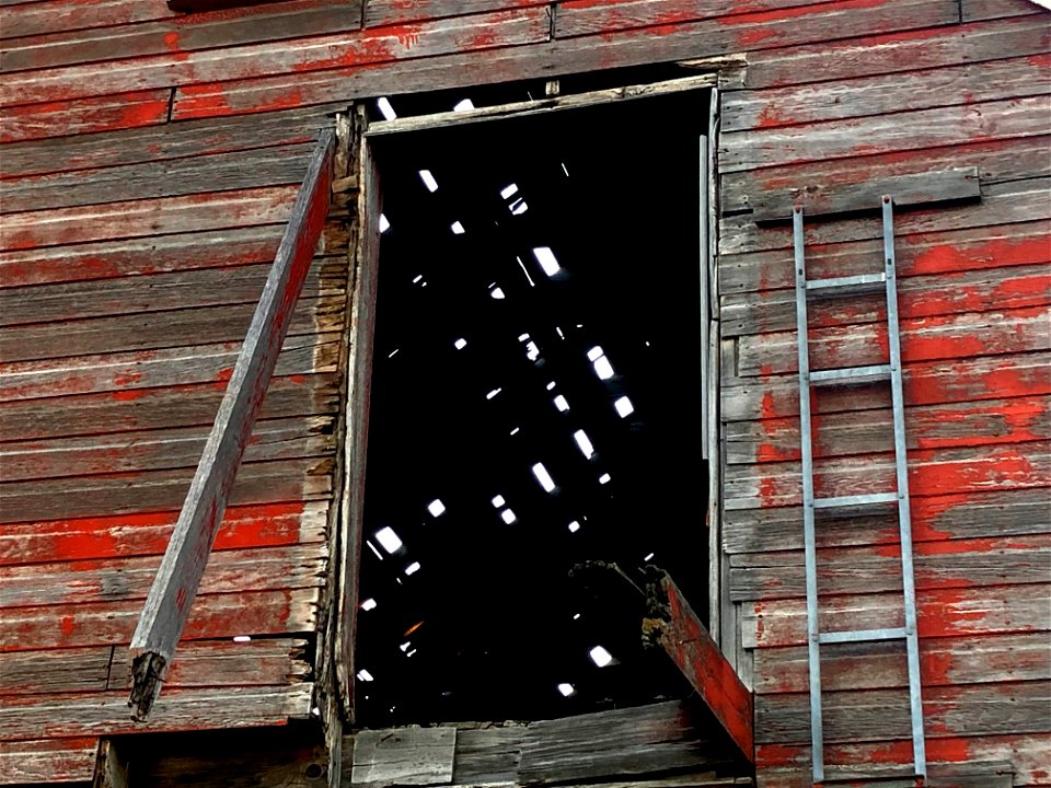 2021/365/247 Doorway to Skylights