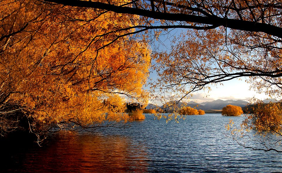 Autumn at the  lake.