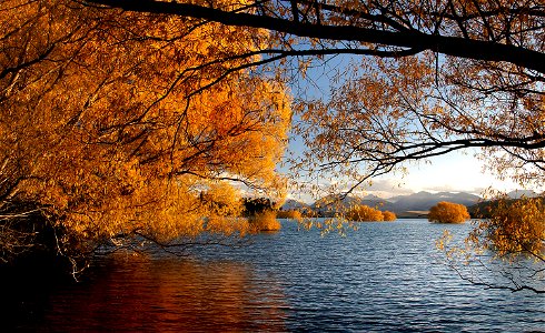 Autumn at the lake. photo