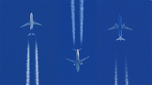 They are all going South, somehow: