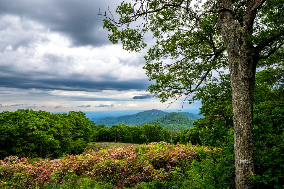 Laurels Thorofare Mtn Overlook