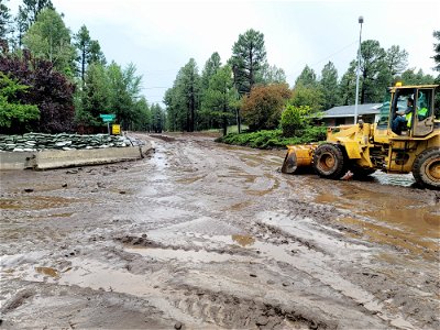 cleanupFlagstaff-Arizona-001 photo