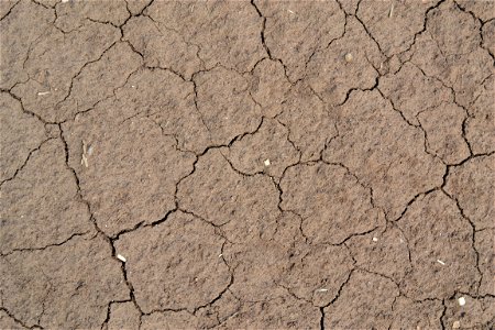 Free textures with cracks