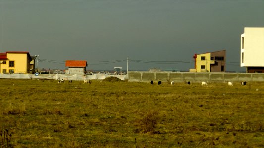 oriz_case2012_1204_110800(2)