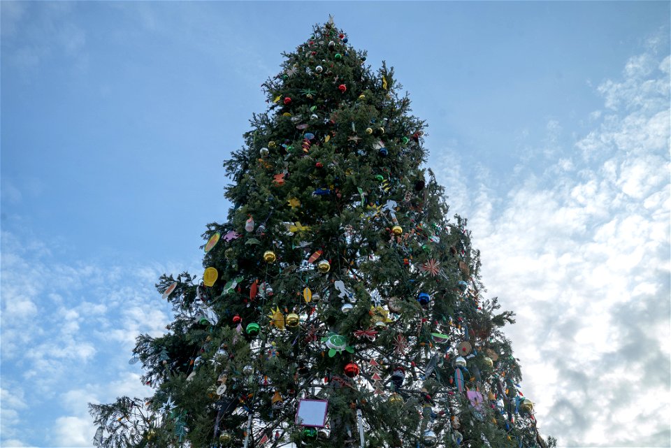 CapitolXmasTreeLighting-WashingtonDC-012
