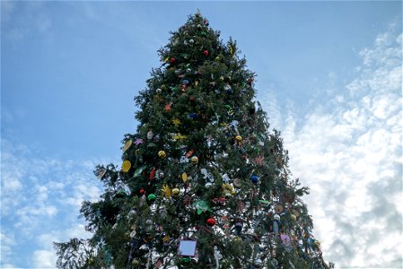 CapitolXmasTreeLighting-WashingtonDC-012 photo