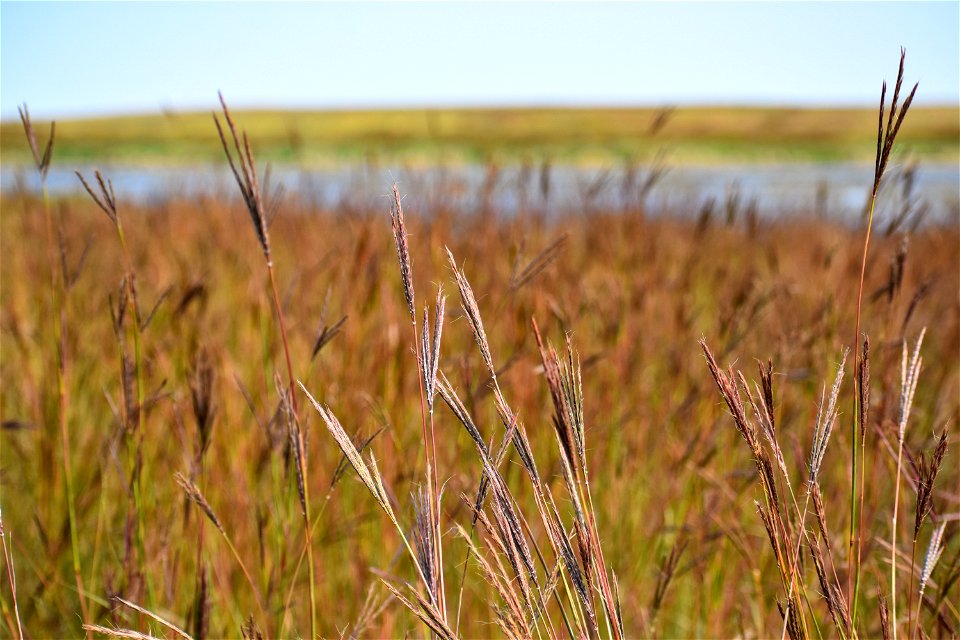 Big Bluestem Lake Andes Wetland Management District South Dakota