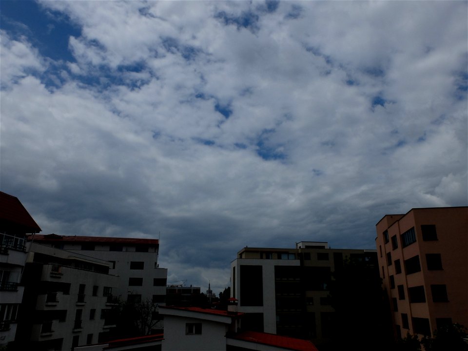 nori-NCramfil2015_0529_122436