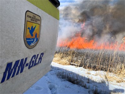 2021 USFWS Fire Employee Photo Contest Category: Fuels Management photo