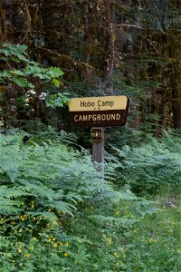 untitled-1190jpg_49364243738_o
