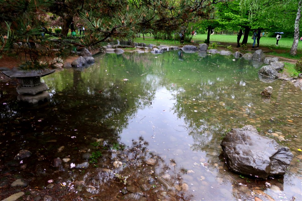 japanes_garden_rain_Herastrau (85)