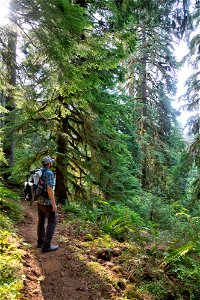 PNTA-Swift Creek-Mount Baker-10