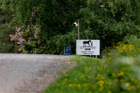 Koivuniemen talli, Hämeenlinna