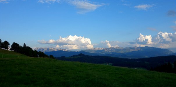 DSC08183