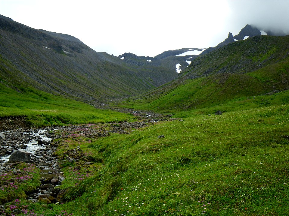 Izembek Wilderness photo