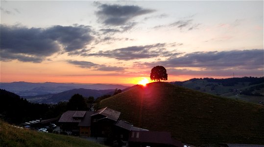 IMG_20220727_210400