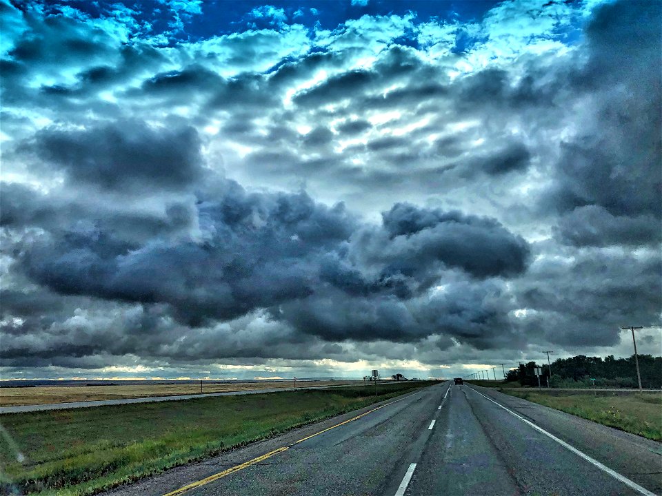 Bold Skies
