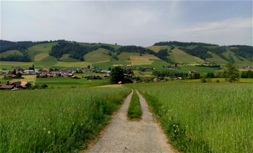 IMG_20220522_163549