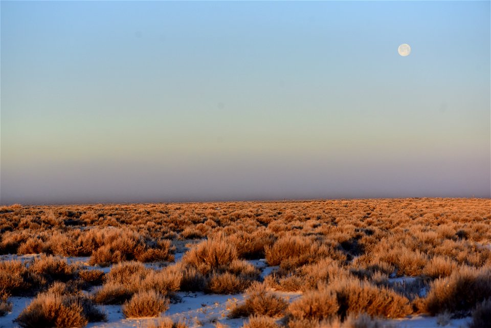 Scenic sage steppe at Seedskadee National Wildlife Refuge