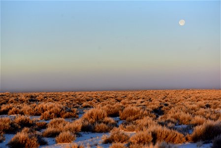 Scenic sage steppe at Seedskadee National Wildlife Refuge