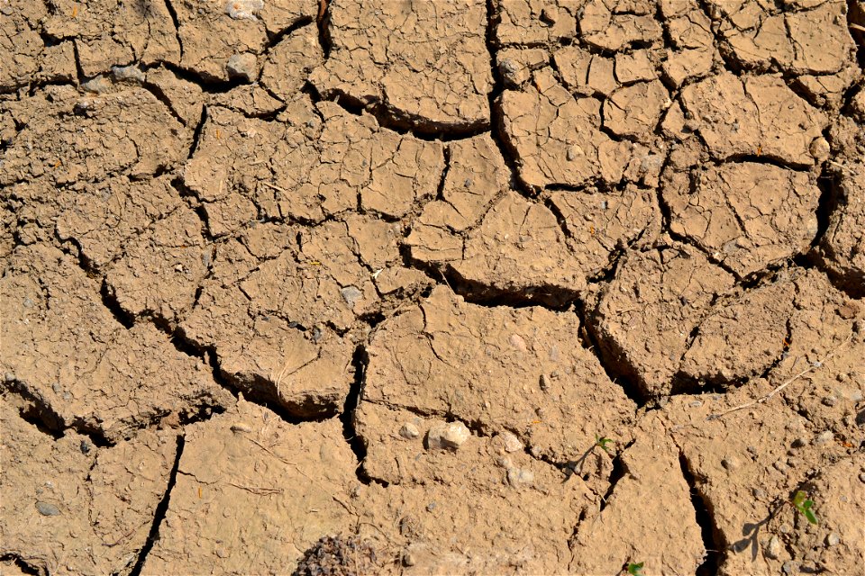 Free textures with cracks