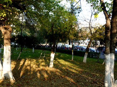 2019-10-28_la Sfantul Dimitrie pe Colina Bucuriei_13
